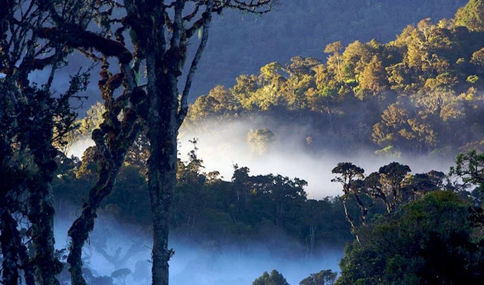 Jalan-Jalan ke Taman Nasional Terluas di Kalimantan