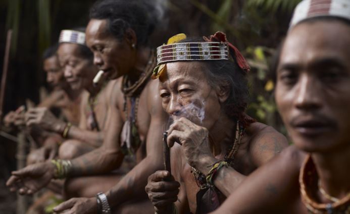 Asal-Usul Suku Dayak dari Pulau Kalimantan
