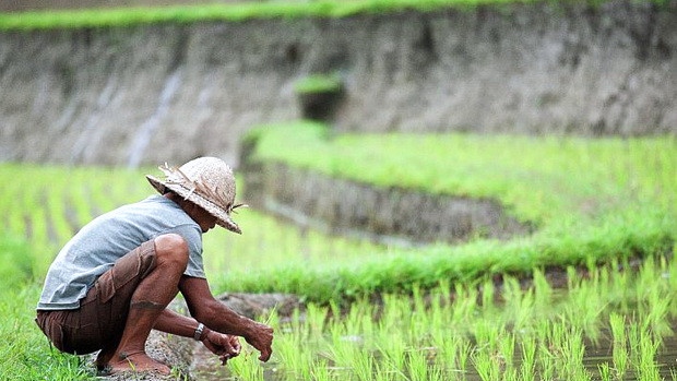 Ekonomi di Kalimantan Timur, Didominasi Pertanian hingga Pertambangan