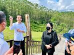 Presiden Joko Widodo mengunjungi lokasi IKN di Sepaku, Penajam Paser Utara, Rabu (22/6/2022).