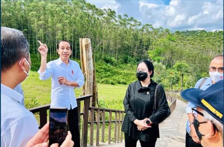 Presiden Joko Widodo mengunjungi lokasi IKN di Sepaku, Penajam Paser Utara, Rabu (22/6/2022).