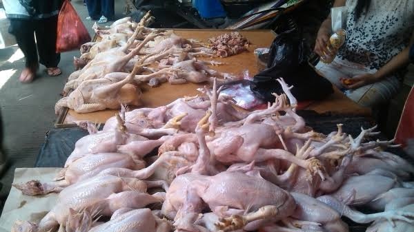 Harga Daging Ayam di Balikpapan Sudah Tak Wajar