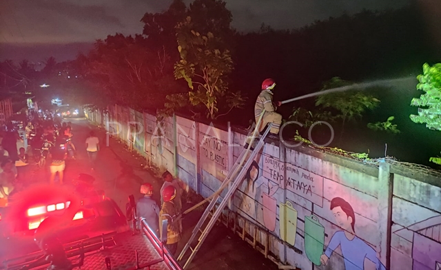 Kebakaran di Kelurahan Lok Tuan Bontang, Diduga Akibat Pembukaan Lahan Secara Ilegal