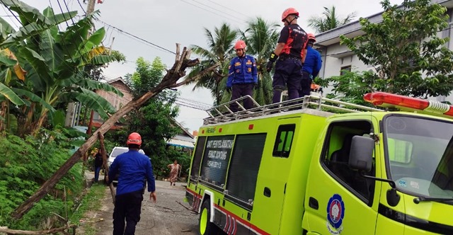 Nihil Korban, Pohon Tumbang Timpa Mobil di Bontang
