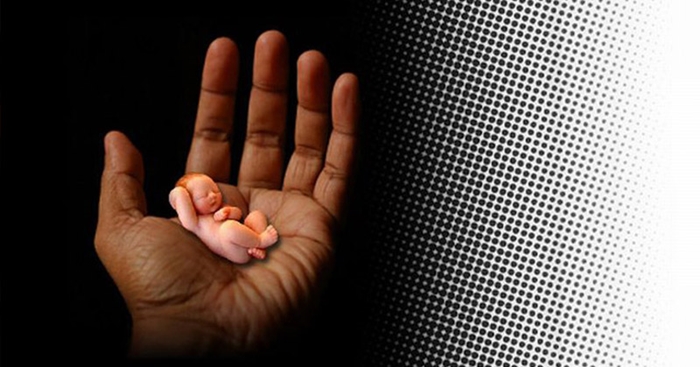 Heboh! Tas Berisi Mayat Bayi Mengapung di Kanal Sangatta Utara Kutim