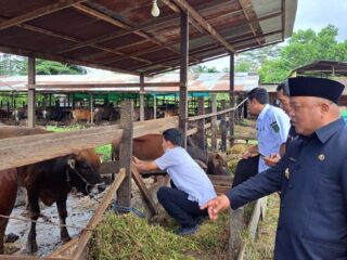 Barcode Jadi Syarat Wajib! Ini Cara Berau Jamin Kesehatan Hewan Kurban