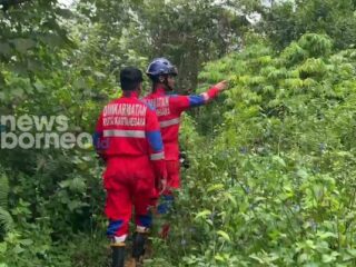 Misteri Hilangnya Pria di Kukar, Diduga Tersesat di Hutan
