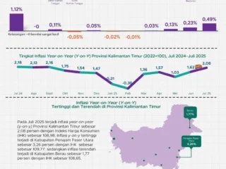 INFOGRAFIS: Inflasi Kaltim Tembus 2,08 Persen, Sektor Makanan dan Tembakau jadi Pemicu