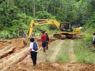 Jalan Rusak Hambat Penjagaan Hutan Adat Wehea di Kutim