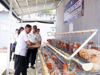 Panen Raya di Rutan Pangkep, Dari Lahan Warga Binaan untuk Ketahanan Pangan dan Korban Bencana